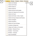 CADASTROS - Cadastro de Entidades.01.png